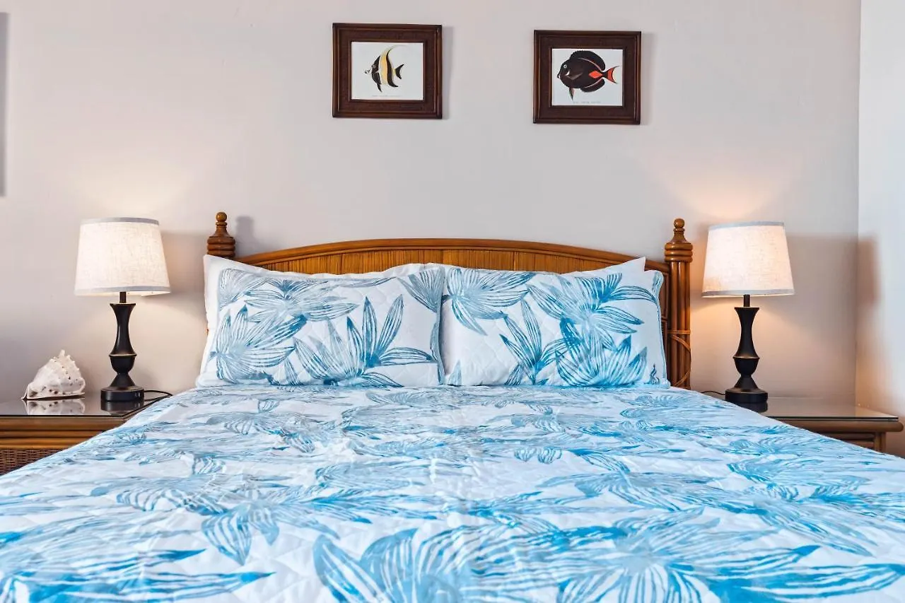Holiday home Noelani 114 Villa Kahana United States